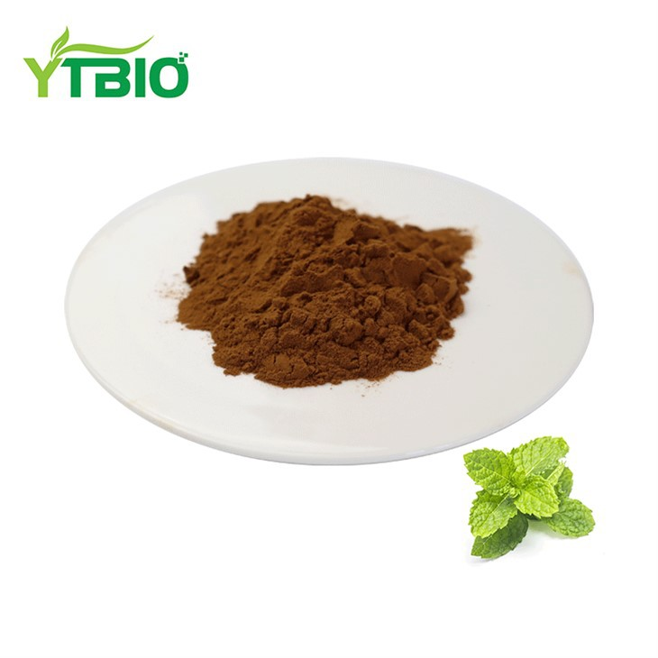 Mint Extract Powder